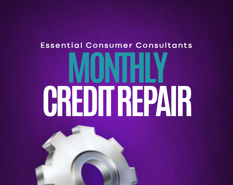 MONTHLY DFY SERVICE